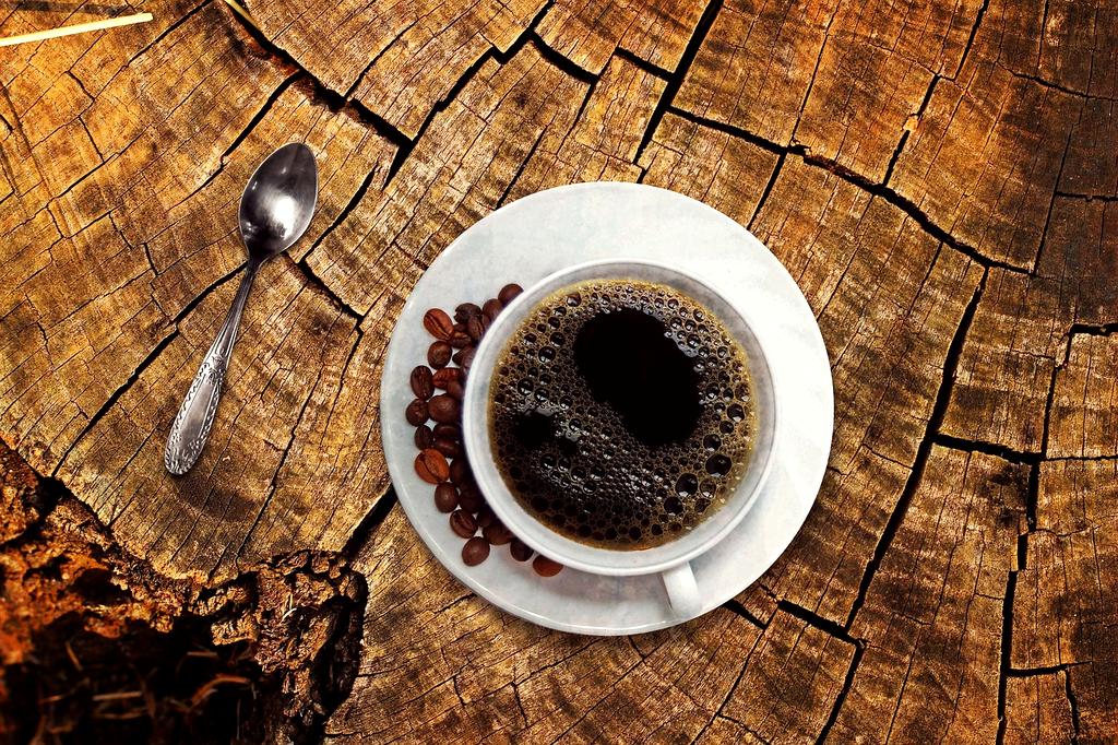 Stylishly organized living room coffee table with books and decorative storage