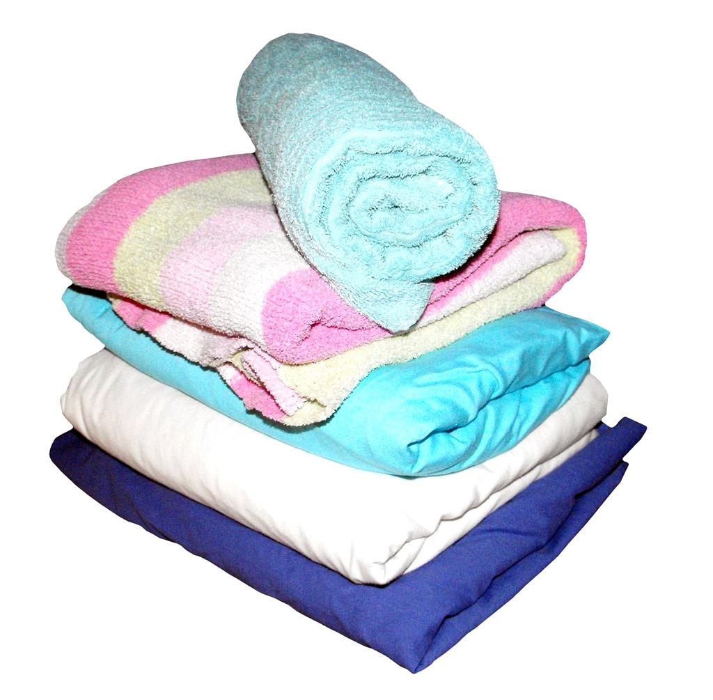 Happy family learning organization maintenance techniques from professional organizer