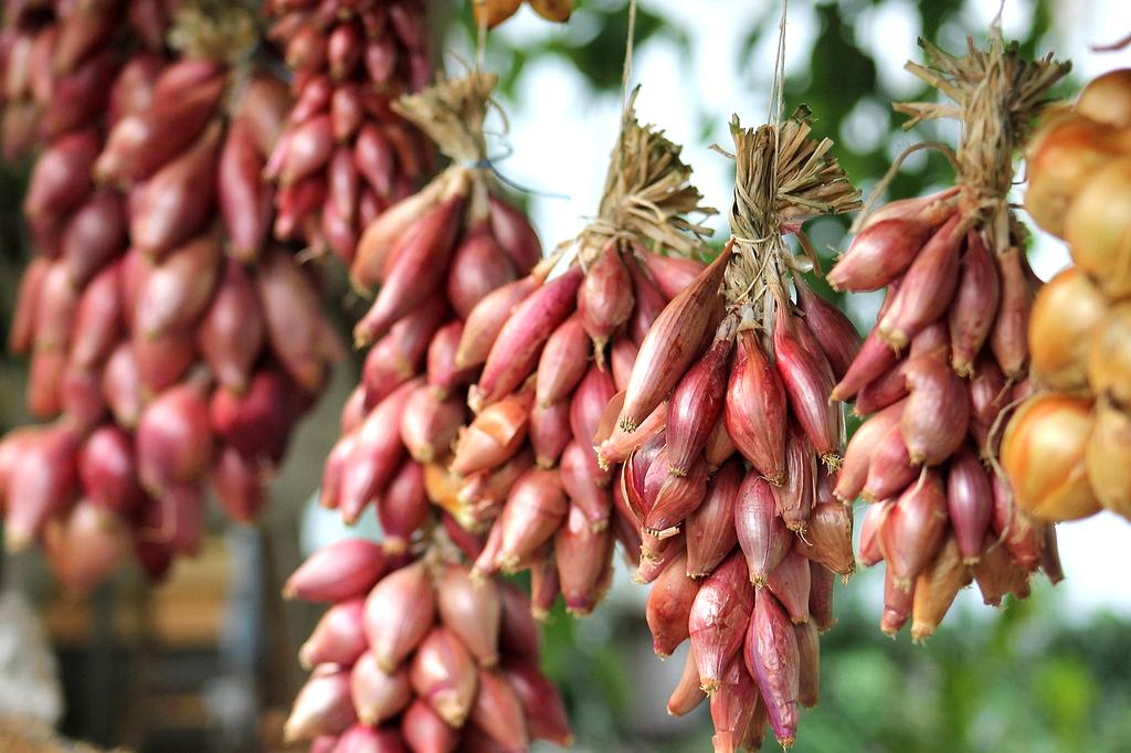 Beautifully organized kitchen counter with labeled containers and clean surfaces