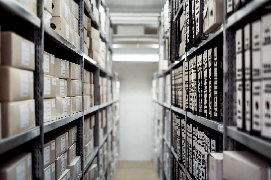 Anna Kowalska, Lead Organizer